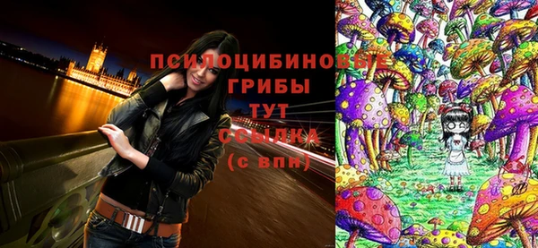 мяу мяу кристалл Гусь-Хрустальный