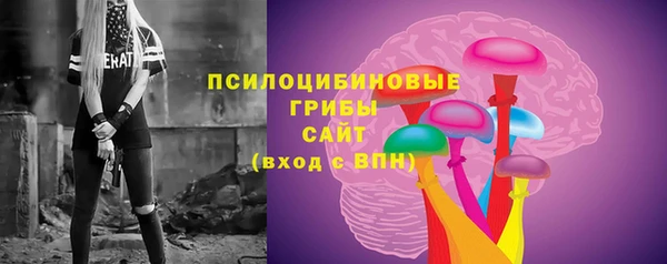 ALPHA PVP Гусиноозёрск