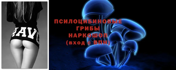 мяу мяу кристалл Гусь-Хрустальный