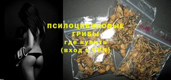 ALPHA PVP Гусиноозёрск