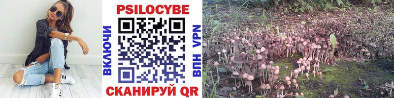Купить закладки  Калач-на-Дону  Псилоцибиновые грибы прущие грибы 